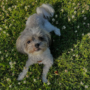 Meet your Posher, Maddie